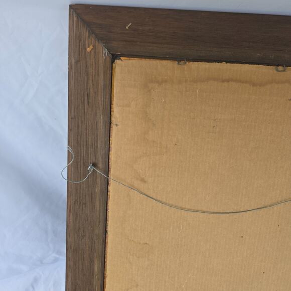 Vintage Frame Mirror Mappe Monde Du Globe World Map by Jan Barend Elwe 23 x 28 - Picture 14 of 16